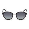 Ladies' Sunglasses Timberland TB9157-5255D Grey (52 Mm)