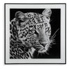 Painting Crystal (2 x 50 x 50 cm) Leopard